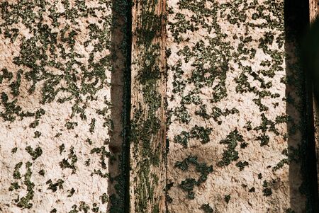 very old grunge wood background for use in designの写真素材