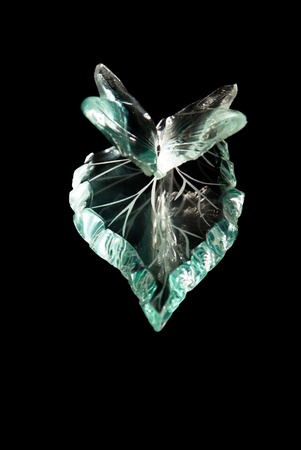 Glass souvenirs in the form of a butterfly on a black backgroundの写真素材