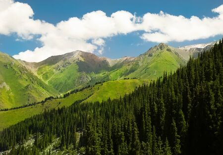 Highlands, colorful green mountains and sunny day.の写真素材