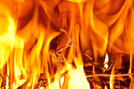 Burning wood in the fireplace and the flames 