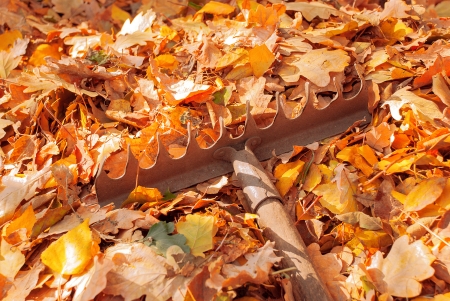 Heap fallen leaves from the trees and rake in the land の写真素材