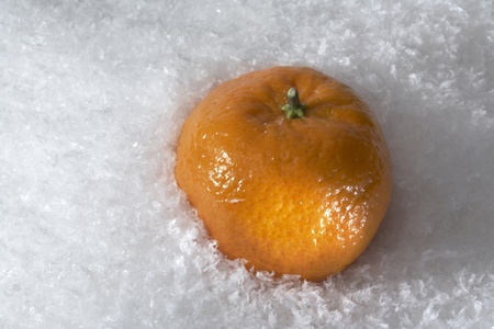 mandarin orange partly covered by artificial snowの写真素材