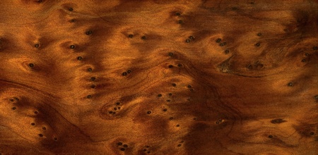 full frame abstract burl wood backgroundの写真素材