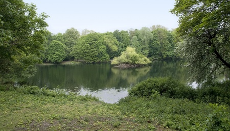 detail of a idyllic lake in DÃ¼sseldorfの写真素材