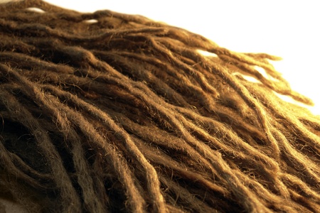 detail of some dreadlocks, warm illuminated in white backの写真素材