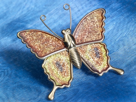 shiny butterfly-shaped jewelry in blue fabrics backgroundの写真素材