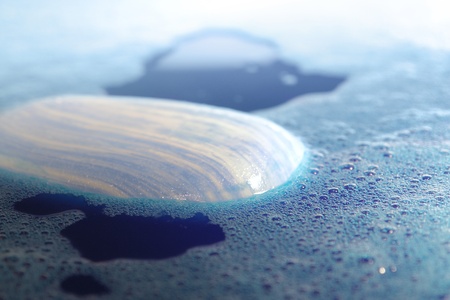 cleaning background with a piece of soap in foamy blue waterの写真素材