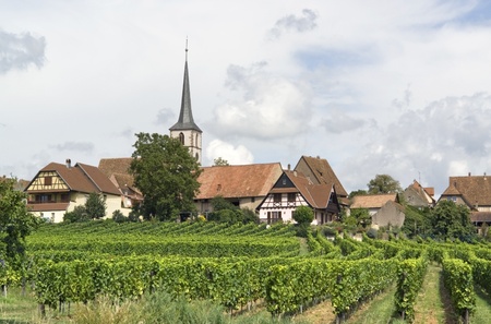 idyllic scenery including Mittelbergheim, a village of a region in France named Alsaceの写真素材