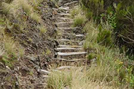 detail of the way to the top of the Muhavara Vulcano in Uganda (Africa)