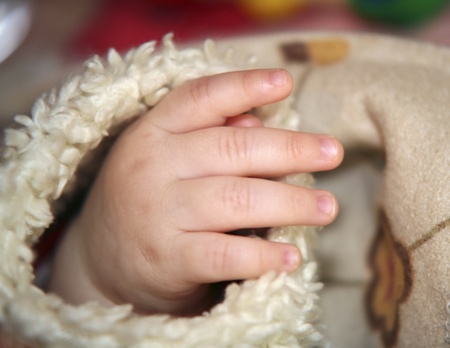 hand of a baby in fury sleeveの写真素材