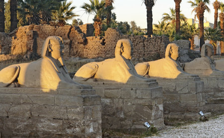 architectural detail of the ancient Luxor Temple in Egypt (Africa) showing some sphinxes in a row at evening timeのeditorial素材