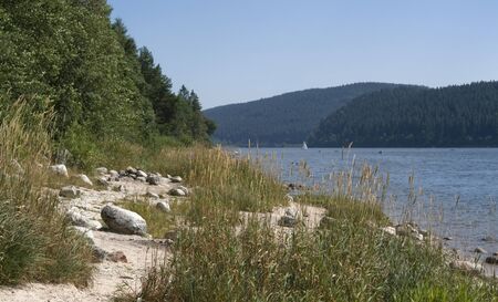 waterside scenery around the Schluchsee, a lake in the Black Forest (Southern Germany) in sunny ambianceの写真素材