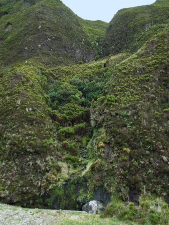 overgrown rock formation at Sの写真素材
