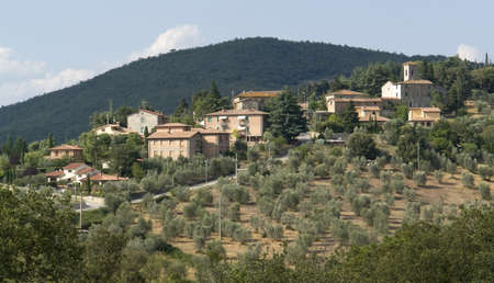San Regolo in Gaiole near Castle of Brolio in the Chianti region of Tuscany in Central Italy
