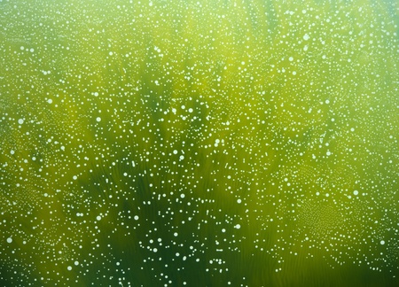 abstract organic background with translucent colors and light bubble pattern