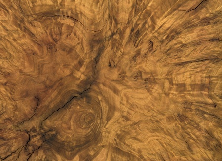 full frame abstract burl wood backgroundの写真素材