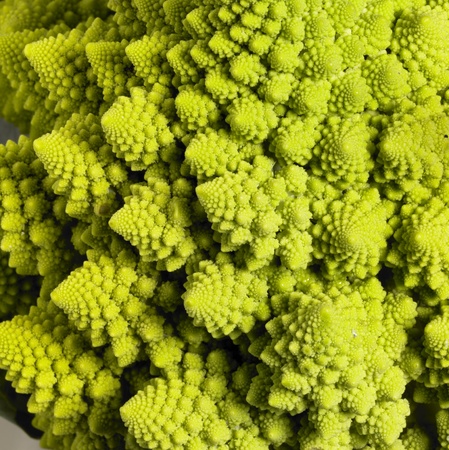abstract full frame background with a romanesco cauliflower closeupの写真素材