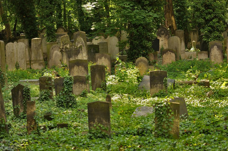 pictorial detail of a old overgrown graveyard in Berlin (Germany) at summer timeのeditorial素材