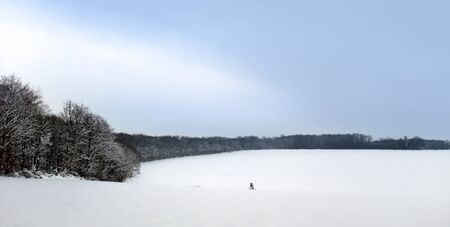 idyllic rural winter scenery showing the border of a wood at evening time in Hohenlohe, an area in...