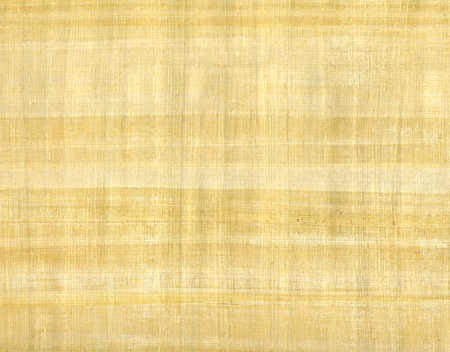 full frame detail of a sheet of papyrus paperの写真素材