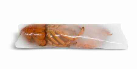 frozen hummer inside a ice block. Studio shot in white back with shadowの写真素材