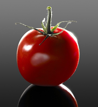 studio shot of a "perfect" tomato in dark reflective backの写真素材