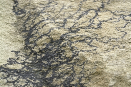 full frame abstract stone surfaceの写真素材