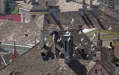 aerial view of Sighisoara, a city in Transylvania located in Romaniaの写真素材
