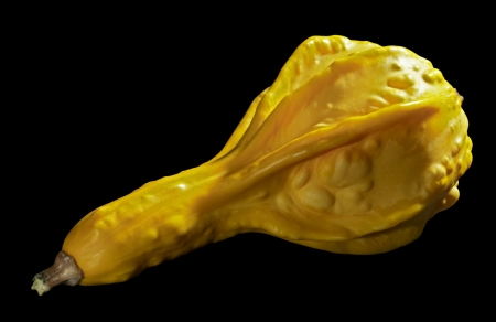 a yellow curcurbit in black backの写真素材