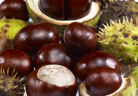 some horse chestnuts in light backの写真素材