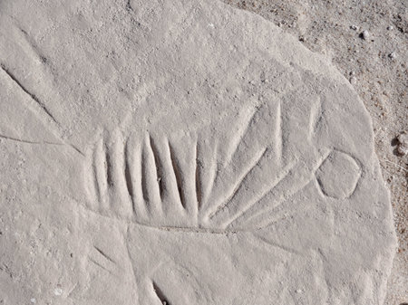 some scorings at a rock formation in Egyptのeditorial素材