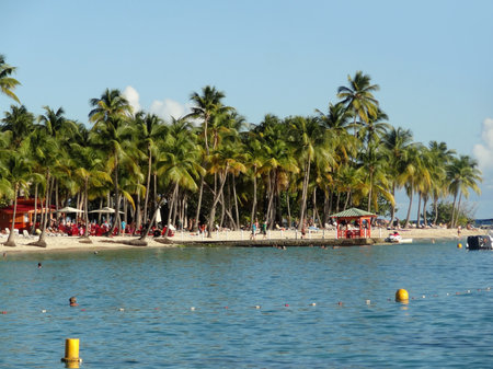idyllic coastal beach scenery on a caribbean island named Guadeloupeのeditorial素材