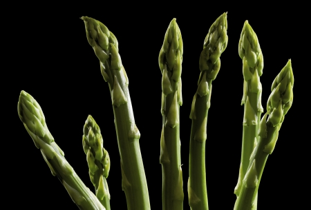 green asparagus vegetable in black backの写真素材
