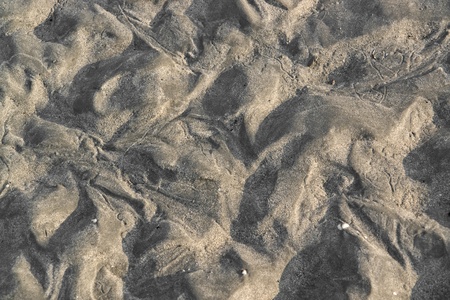 detail of a intertidal zone seen in Franceの写真素材