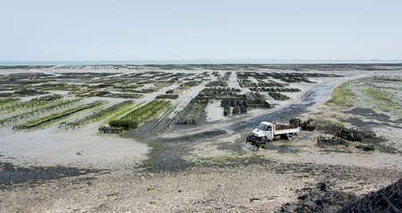 lots of oyster beds at a town in Brittany named Cancaleの写真素材