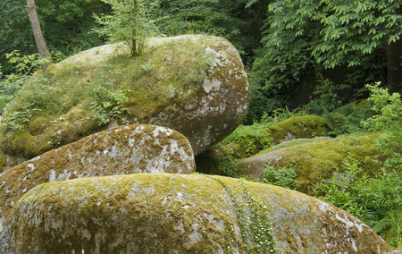 Idyllic natural scenery with big rounded overgrown boulders at a area named Huelgoat in Brittany, Franceの写真素材