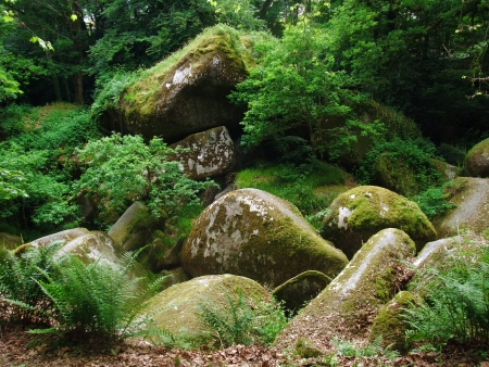 Idyllic natural scenery with big rounded overgrown boulders at a area named Huelgoat in Brittany, Franceの写真素材