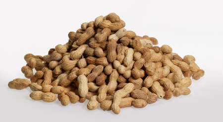 pile of unpeeled peanuts in light back