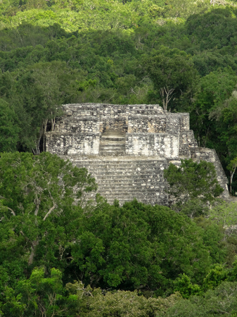 ancient temple at Calakmul, a mayan archaeological site in the mexican state of Campecheの写真素材