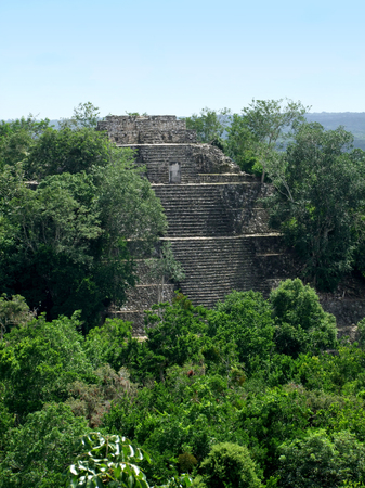 temple at Calakmul, a mayan archaeological site in the mexican state of Campecheの写真素材