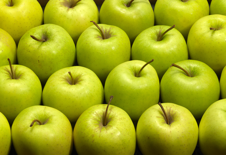 lots of green apples side by sideの写真素材