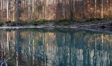 idyllic low angle scenery on a small river and forest in Southern Germany at early spring timeの写真素材