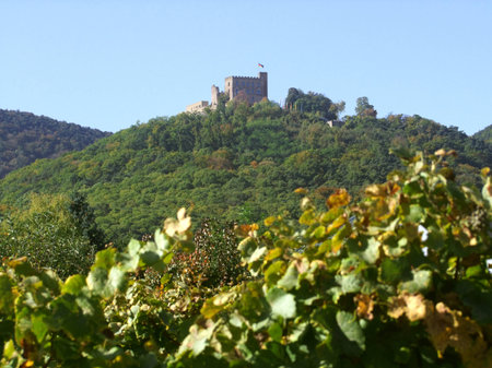 Hambach Castle near Neustadt an der in Rhineland-Palatinate in Germanyのeditorial素材