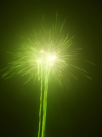 green fireworks display in dark backの写真素材