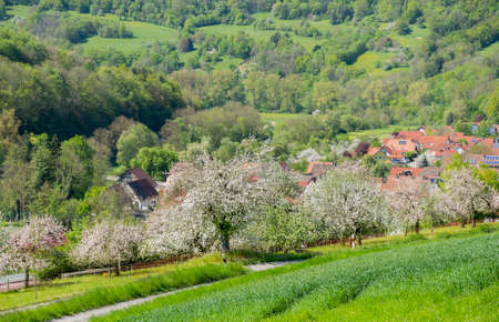 idyllic sunny spring time scenery including a town named Kocherstetten located in Hohenlohe, a district in Southern Germanyの写真素材