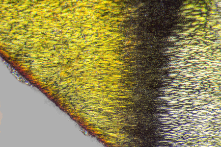 microscopic detail showing the edge of a holographyの写真素材