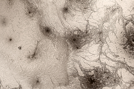 microscopic shot showing some microcrystal patterns in dried dyestuff