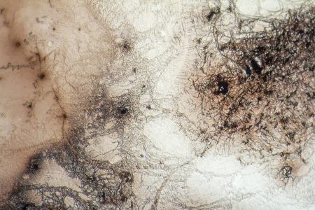microscopic shot showing some microcrystal patterns in dried dyestuff
