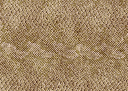 full frame scaled abstract brown patterned reptile skin surface