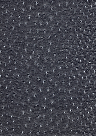 full frame abstract black ostrich leather surfaceの写真素材